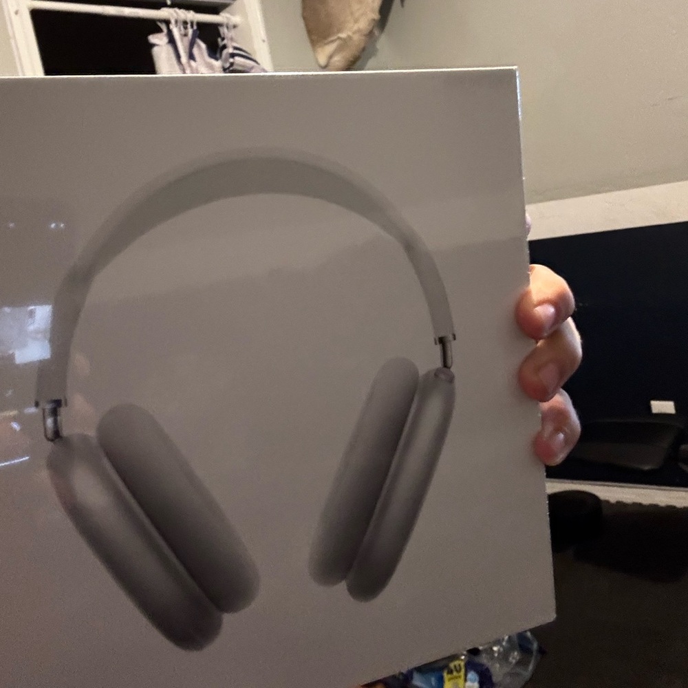 Apple Headset - Silver